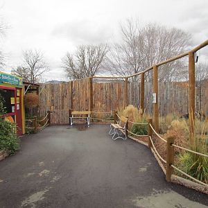 Animals of the Pampas