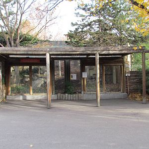 Snow Leopard Exhibit