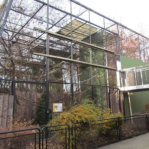 Outdoor Gibbon Exhibit