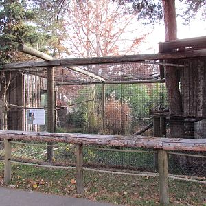 Laughing Kookaburra Exhibit