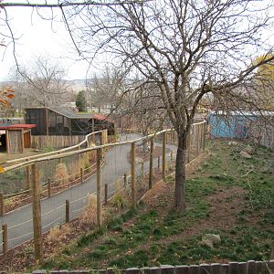 Animals of the Pampas - Overview