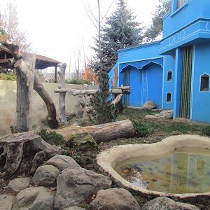 Sloth Bear Exhibit