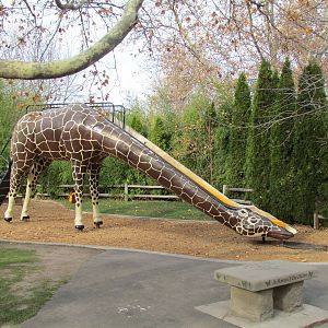 Giraffe Slide