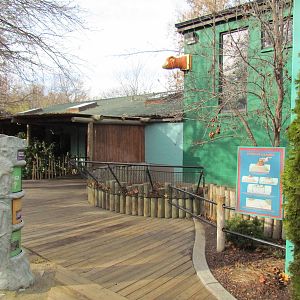 Small Animal Kingdom - Islands