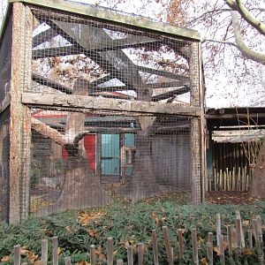 Small Animal Kingdom - Ring-tailed Lemur Exhibit