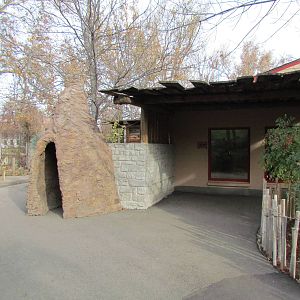 Small Animal Kingdom - Meerkat Exhibit