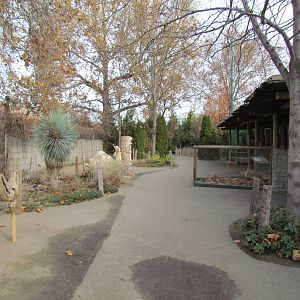 Small Animal Kingdom - Deserts