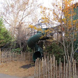 Small Animal Kingdom - Slide