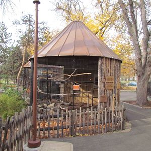 African Plains - Hornbill Exhibit