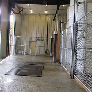 African Plains - Giraffe Barn Interior