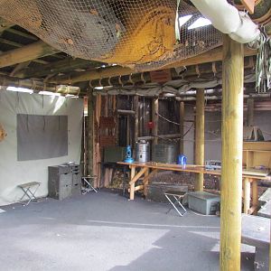 African Plains - Ranger Station and Aviary