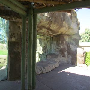 Orangutan Exhibit