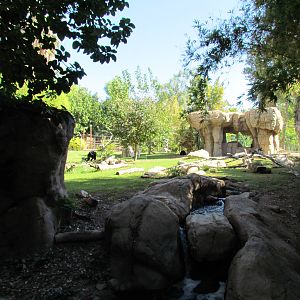 Andean Bear Exhibit