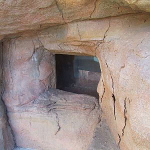 Entrance - Native Species Exhibit