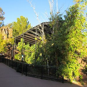 Children's Trail - Bald Eagle Exhibit