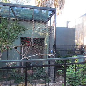 Children's Trail - Callitrichid Exhibits