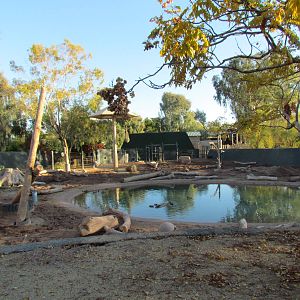 Asian Elephant Exhibit