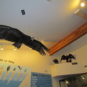 Interpretive Center