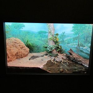 Mexican Riverine Exhibit