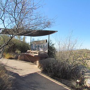 Ancient Arizona Exhibit