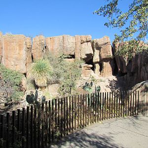 Mountain Woodlands - Puma Exhibit