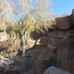 Mountain Woodlands - Black Bear Exhibit