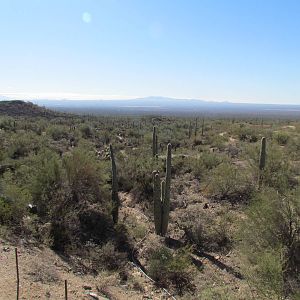 Arizona Upland Loop