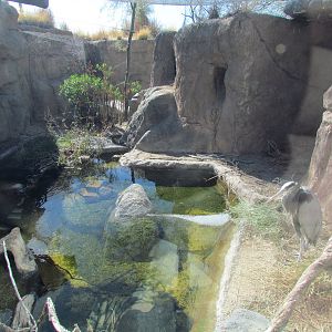 Desert Grasslands - Cienega