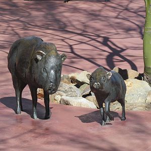 Javelina Statues at Entrance
