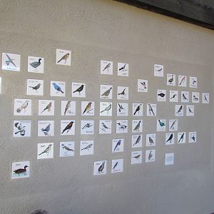 Walk-through Aviary Entrance