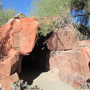 Life Underground - Entrance