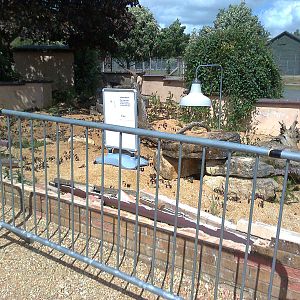 Old Meerkat enclosure 2011