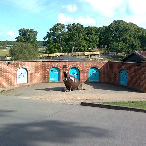 Hippo sculpture 2011