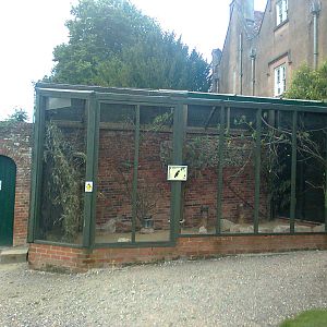 Black-Cheeked Lovebird aviary 2011