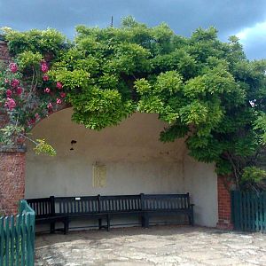 Back Garden alcove 2011