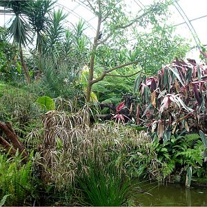 Marshland Exhibit at Parque Biológico de Gaia, 20/04/11