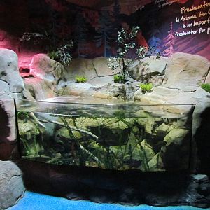 Freshwater Streams and Lake