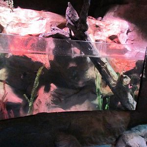 Freshwater Streams and Lake