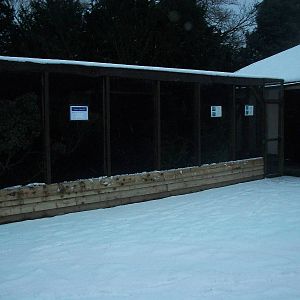 Sewerby Zoo, finch aviary 18th January 2013