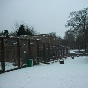 Sewerby Zoo, looking down the zoo 18th January 2013