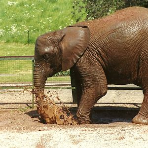 Kasama 8th June 1996