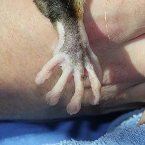 Dallas World Aquarium 2010