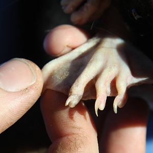 Dallas World Aquarium 2010