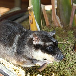 Dallas World Aquarium 2010