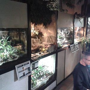 amphibian enclosures