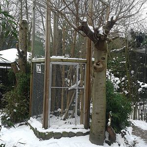 Cage for Swinhoe's striped squirrel