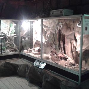 enclosures for venomous snakes