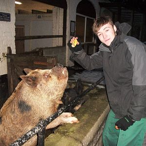 Sewerby Zoo, madgeandshane training Pepper 19th January 2013