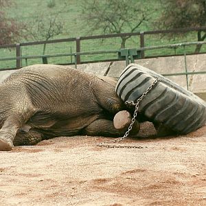 Kasama 5th April 1997