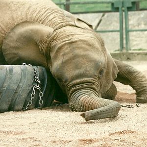 Kasama 5th April 1997